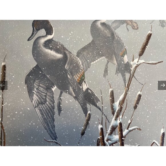 Phillip Crowe Snowy Refuge Signed Limited Edition Offset Lithograph Print - Picture 6 of 12